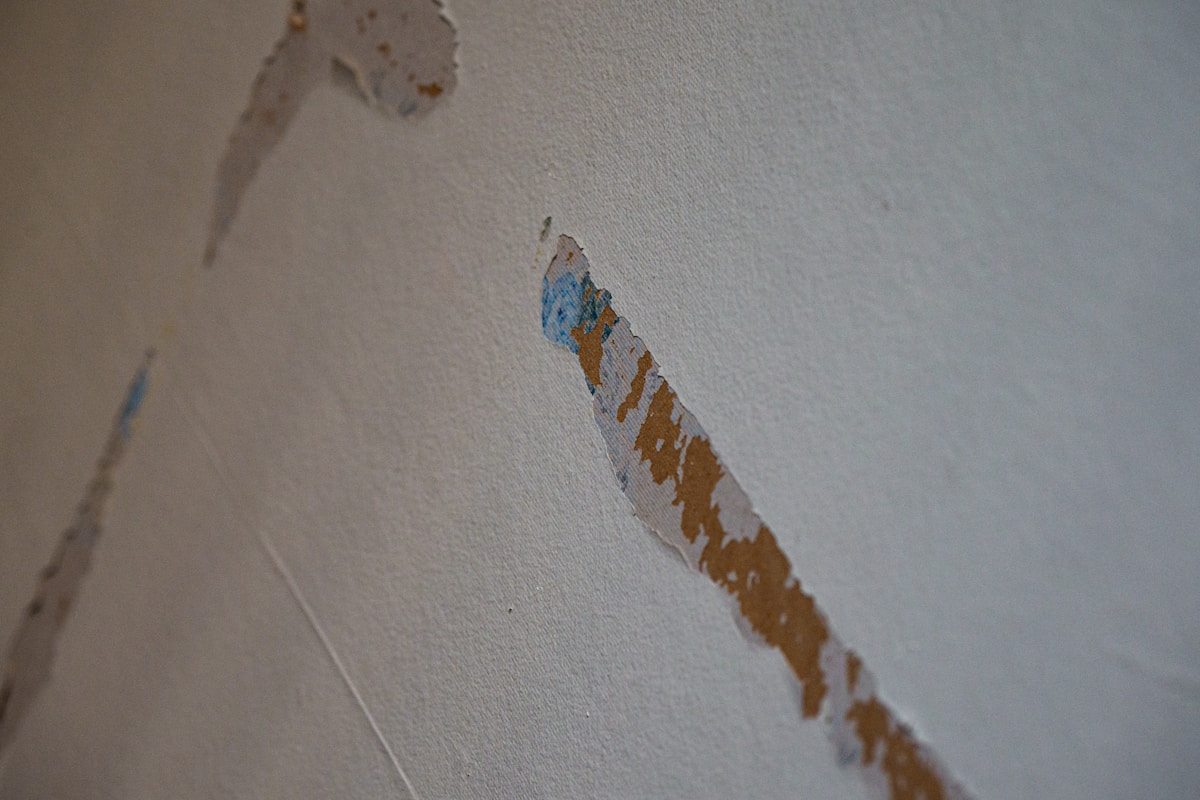 Mold Remediation service in Methuen Town, MA